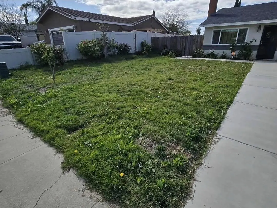 Front yard before artificial turf installation